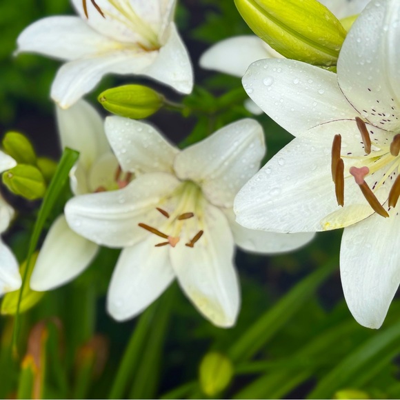 Meet your Posher, Taylor - Picture 1 of 1